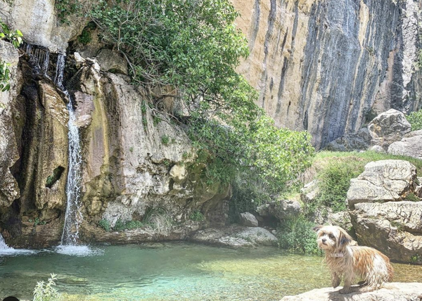 La nueva vida aventurera y feliz de una perra abandonada en un pueblo de Granada que supo elegir a su mejor familia