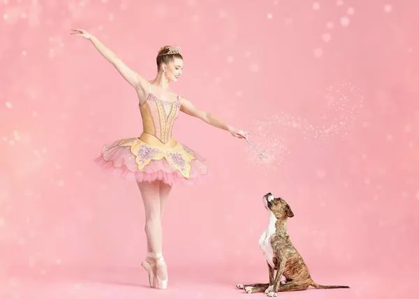 The Muttcracker 2020: bailarines retratados con arte para fomentar la adopción de perros y gatos