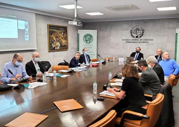 Los veterinarios españoles contrarios a la esterilización obligatoria prevista en la nueva Ley de Protección Animal