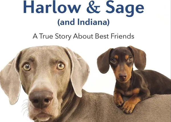 Harlow & Sage & Indiana: las aventuras de unos canes geniales, ahora en libro