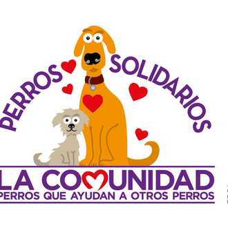 “Perros que ayudan a otros perros”, o cómo ayudar a …