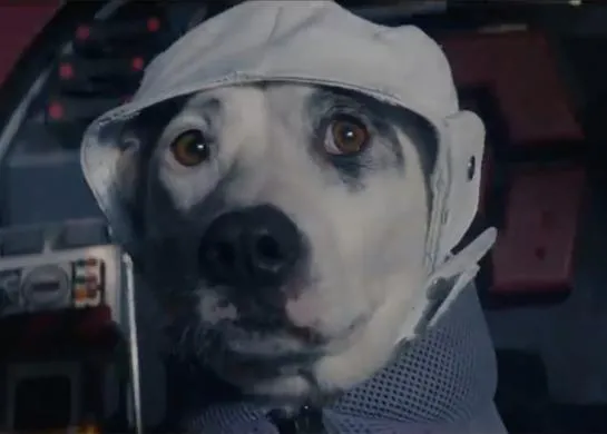 The Chemical Brothers envía a un perro al espacio en el peculiar vídeo de 