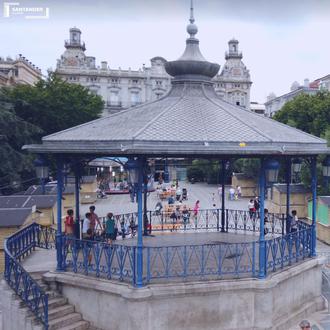 Los perros podrán acceder a edificios públicos, bares y restaurantes …
