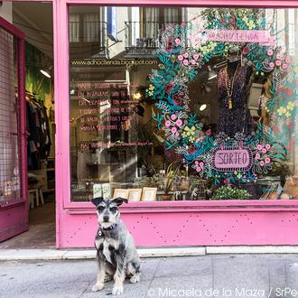 Sorteo en Adhoc tienda: un lugar bonito y perrunamente simpático