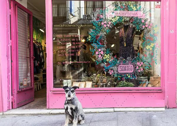 Sorteo en Adhoc tienda: un lugar bonito y perrunamente simpático