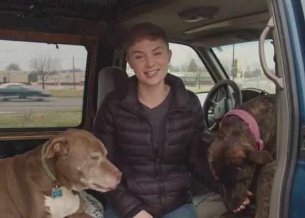 Una chica sin hogar que ejerce como casa de acogida para perros en su furgo ¡logra una beca de 10.000 $!