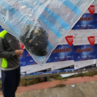 Dos nuevos casos de envenenamientos caninos en Logroño: la policía …