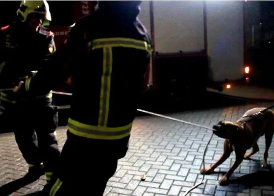 El perro que soñaba con ser bombero