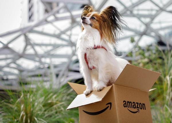 Los perros tienen mucho que decir en Amazon, una compañía con ¡6000 