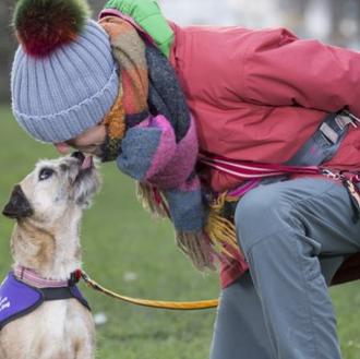 La maravillosa amistad de un perro al que nadie quería …