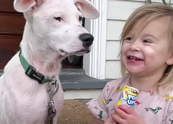 Un pequeño cachorrote sordo y su pequeña humana: el comienzo de una amistad imbatible