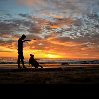 La vida feliz de una perra aventurera que vive en …