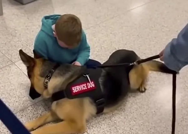 Los vídeos virales de animales en redes sociales y la IA: la historia de un niño con autismo y el perro que le calma