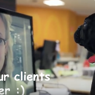 Oficinas dog friendly: dos vídeos que casi casi generan ganas …