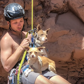 El espectacular rescate de dos pequeños perros que alguien había …