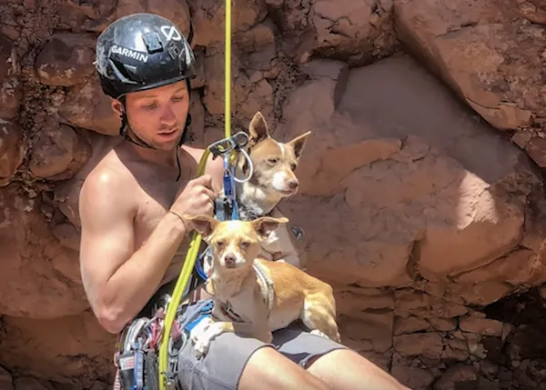 El espectacular rescate de dos pequeños perros que alguien había abandonado en medio del desierto