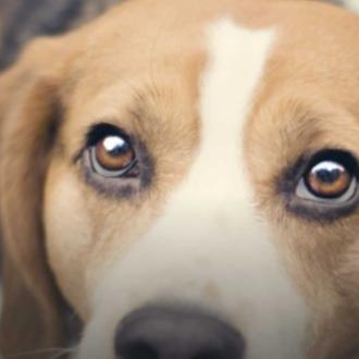 España, entre los países de la UE donde ha aumentado …