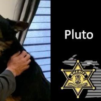 El maltrato animal es un indicador de peligrosidad: cuando se …
