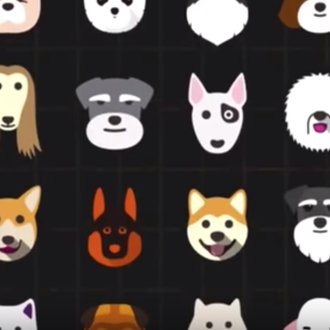 Una breve historia de los perros: desde su domesticación a …