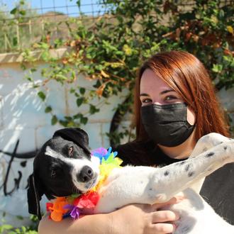 La Protectora de Málaga, donde los pasados perrunos más difíciles …