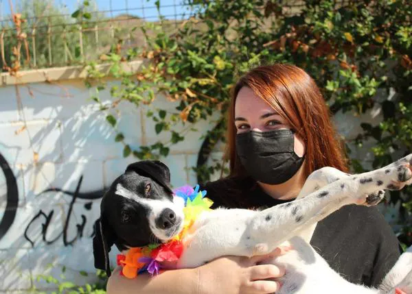 La Protectora de Málaga, donde los pasados perrunos más difíciles son convertidos en historias felices