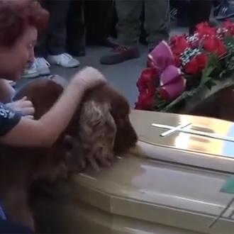 Un perro se despide de su dueño, muerto en el …