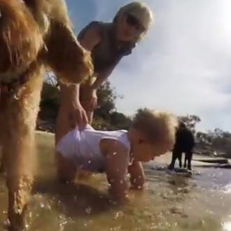 Vídeos de vacaciones, vídeos que hacen sonreír: unos canes y …