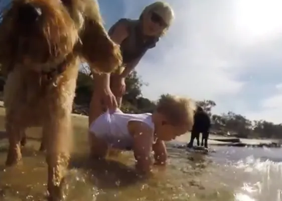 Vídeos de vacaciones, vídeos que hacen sonreír: unos canes y un bebé disfrutando en la playa
