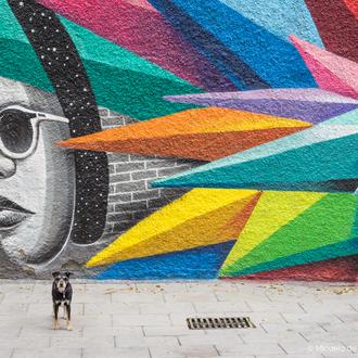 Agenda SrPerro Marzo: charlas y photocall mascotero, cursos de poda …