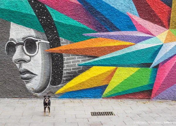 Agenda SrPerro Marzo: charlas y photocall mascotero, cursos de poda, arte urbano y tapas solidarias