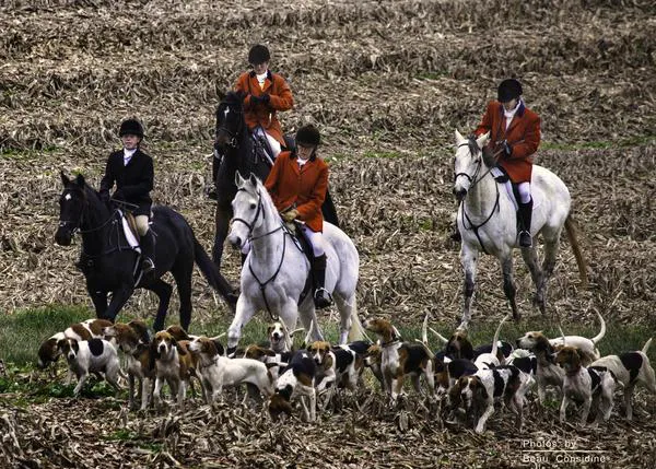 La caza con perro en el Reino Unido: dos durísimos documentales captan la lucha entre animalistas y cazadores