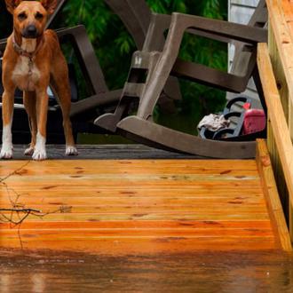 El mensaje de un Técnico en Emergencias y Protección Civil …