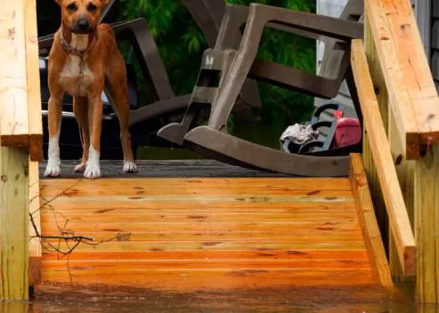 El mensaje de un Técnico en Emergencias y Protección Civil tras las últimas borrascas: 