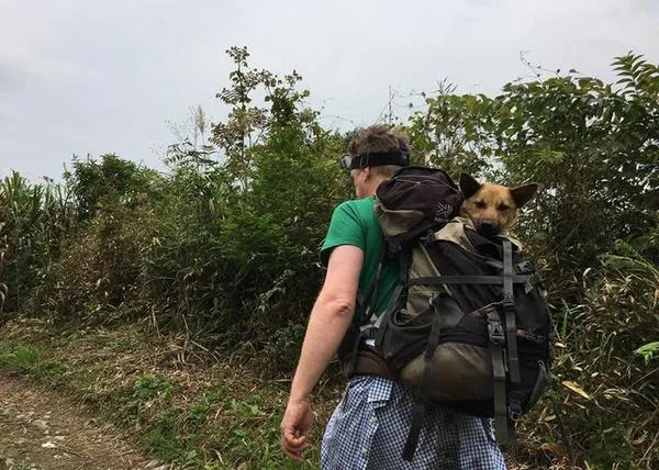 Emprenden una caminata de 12 horas en la montaña para rescatar a un perro malherido