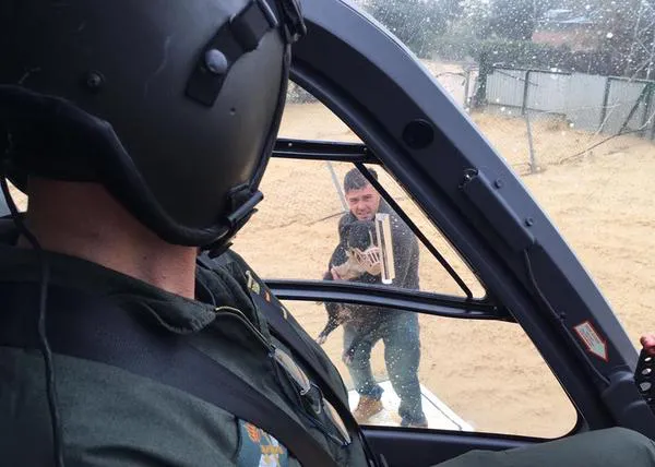 #trombaMLG: impactantes rescates de perros y llamada de ayuda para las protectoras