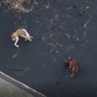 Comienza la cuenta atrás para el complicado rescate de los …