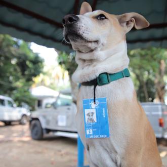 Foxtrot, el guapérrimo perro que ha celebrado por todo lo …