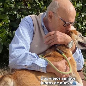 “Perdóname, cariño”: el reencuentro entre un hombre de 86 años …
