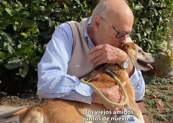 “Perdóname, cariño”: el reencuentro entre un hombre de 86 años y su perro, de 16, separados tras un deshaucio