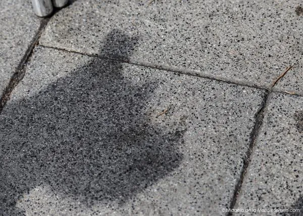 El maltrato a los perros en España: radiografía y mapa con los datos oficiales