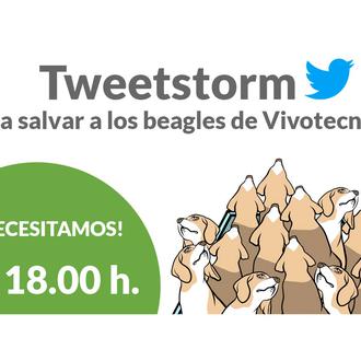 #FreeBeaglesVivotecnia: tweetstorm, concentración y presión para salvar a los cachorros …