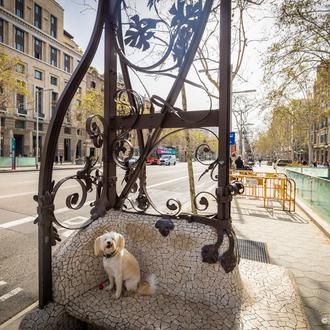 El bienestar animal y los derechos de los animales en …