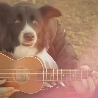 El momento perruno de Arizona Baby: banda sonora para hipsters …