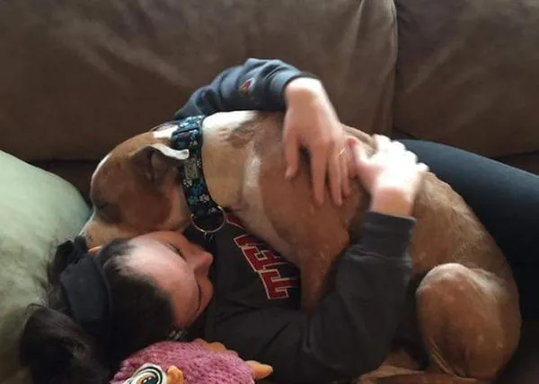 Un Pit Bull recién adoptado conquista a medio mundo con sus abrazos constantes