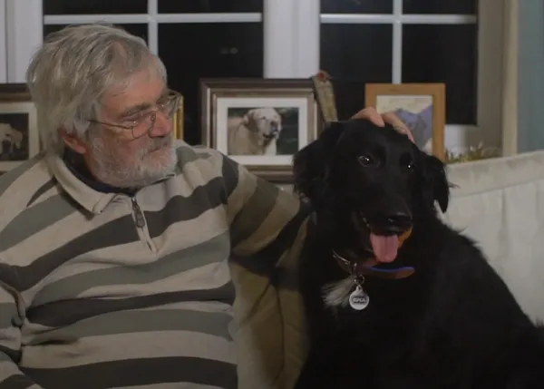 Los rescates mutuos son ahora más importantes que nunca: precioso anuncio navideño de la RSPCA