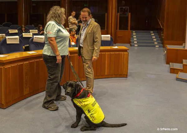 ¿Qué normativa sobre animales de familia aún pendiente de desarrollo o aprobación queda en el aire por el adelanto electoral?