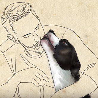 Una perra maltratada aprende a ser una perra feliz y …