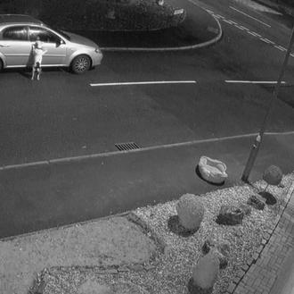 El vídeo de un perro tratando de volver al coche …
