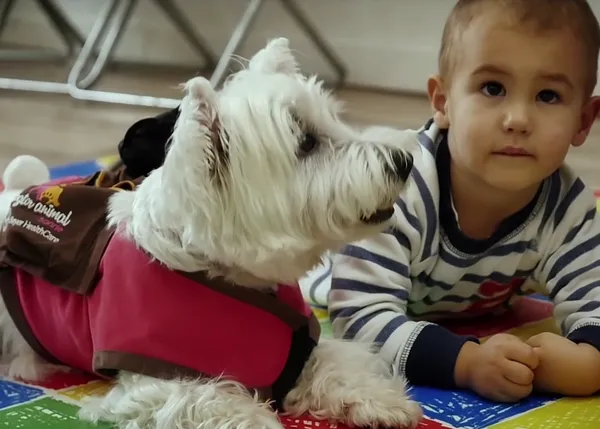 Canes que trabajan ayudando a los humanos: pequeño homenaje a los perros de terapia