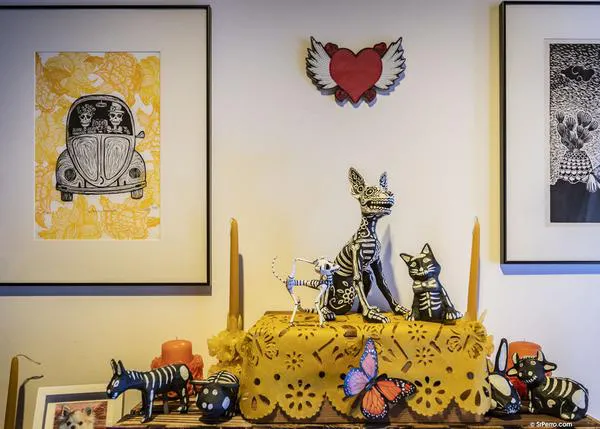 Fundación Casa de México crea, por primera vez, un altar dedicado a los animales de familia para celebrar el Día de Muertos